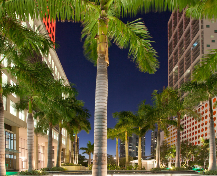 600 Brickell The Foram Group Photo by Robin Hill 81